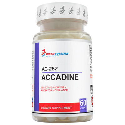 WestPharm Accadine AC-262 10 мг. (60 капс.)